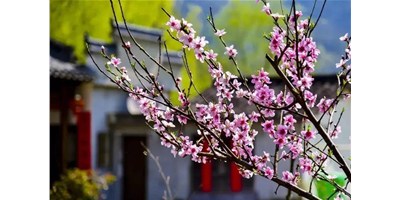 阳春三月，恒行5一大波展会即将来袭，您准备好了吗？