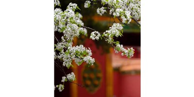 【展会资讯】恒行55月展会一览，等您来参观！